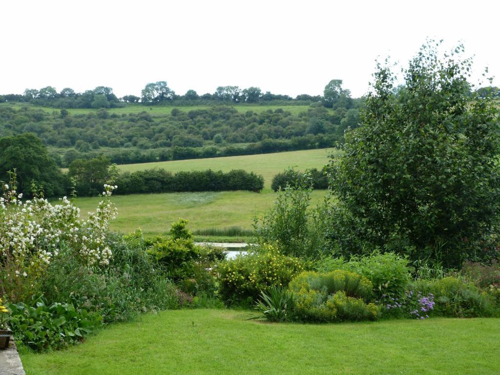 Cameley Lodge - Self Catering Temple Cloud Exterior foto